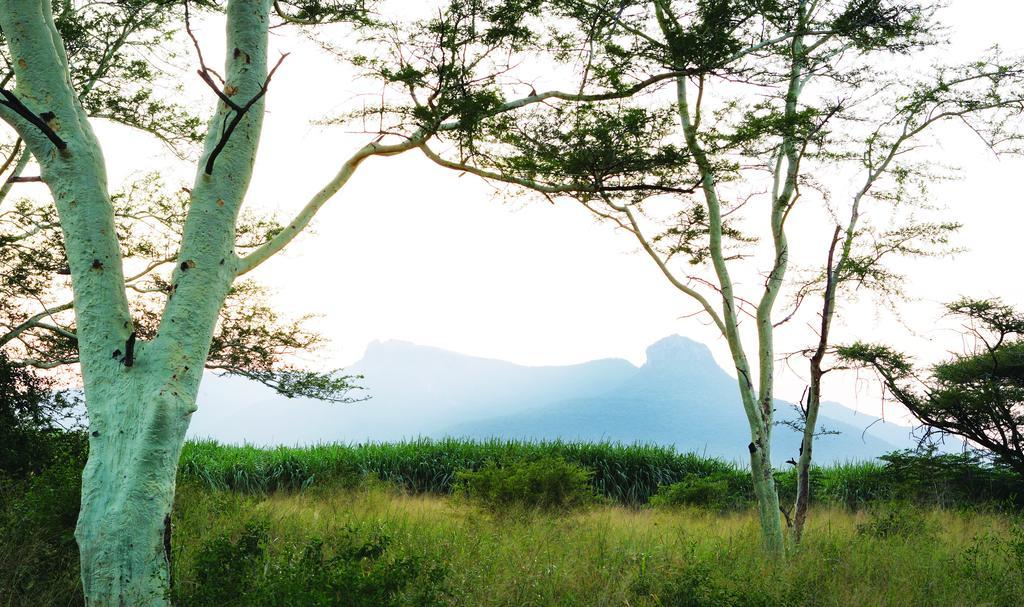 Ghost Mountain Inn Mkuze Ngoại thất bức ảnh