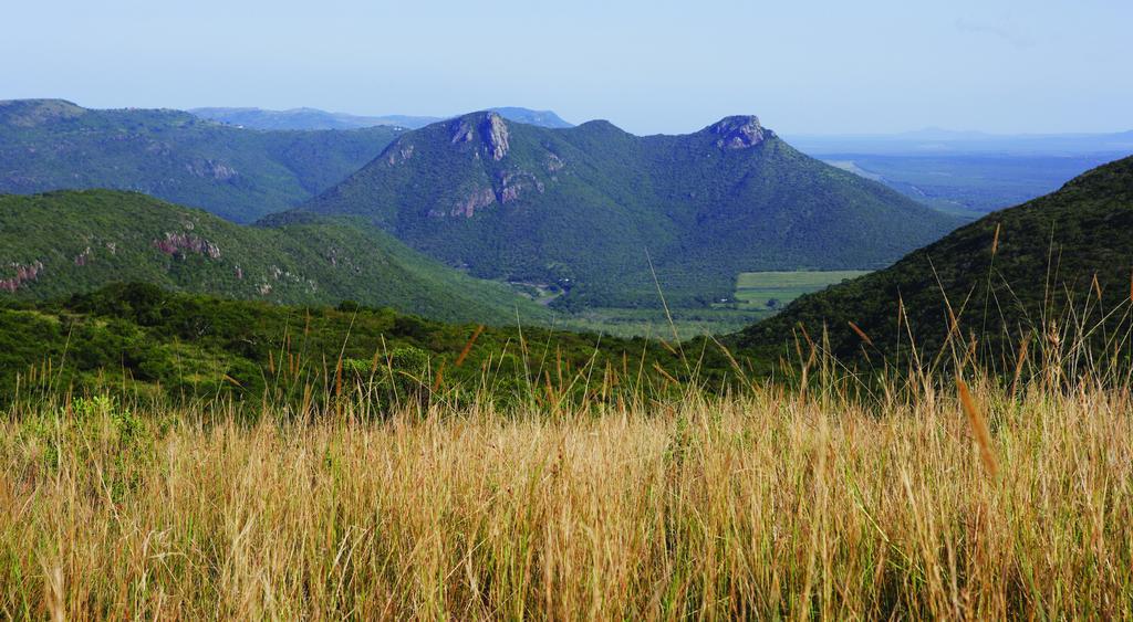 Ghost Mountain Inn Mkuze Ngoại thất bức ảnh