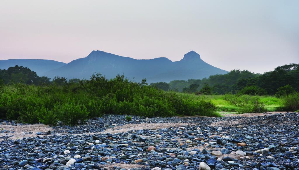 Ghost Mountain Inn Mkuze Ngoại thất bức ảnh